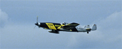 Do C3605